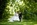 outdoors+ceremony+civil+wedding+venue-Cambridgeshire-island+hall